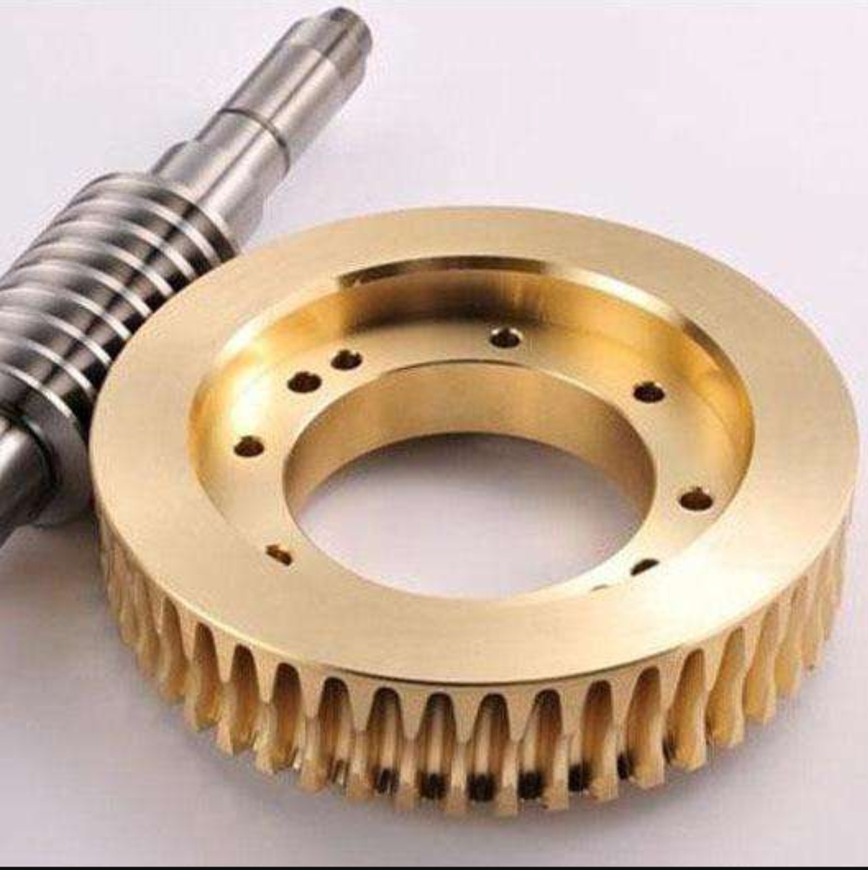 worm gear set.jpg